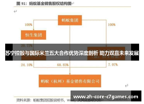 苏宁控股与国际米兰五大合作优势深度剖析 助力双赢未来发展